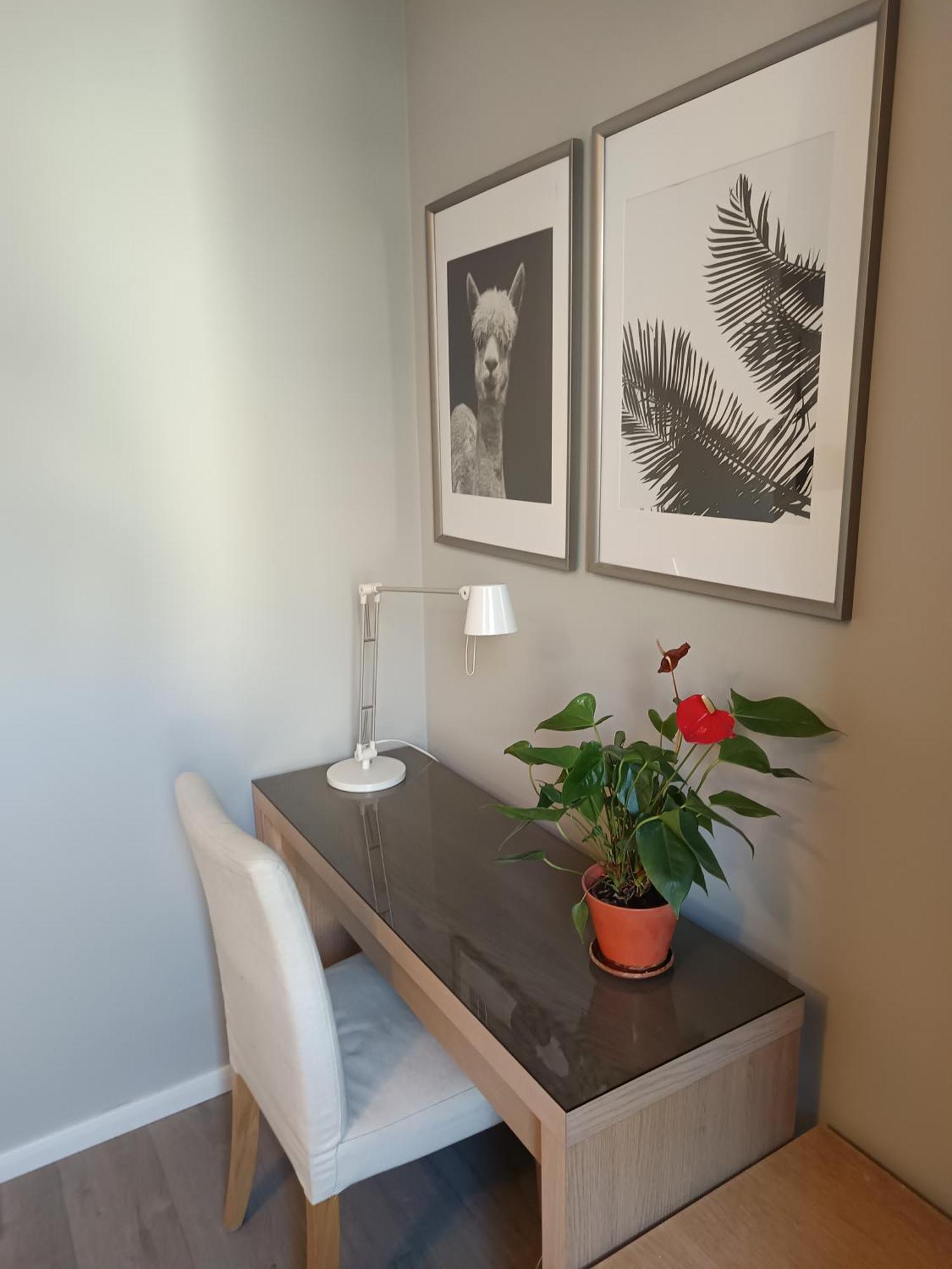 Dominikanski Apartament Wrocław
